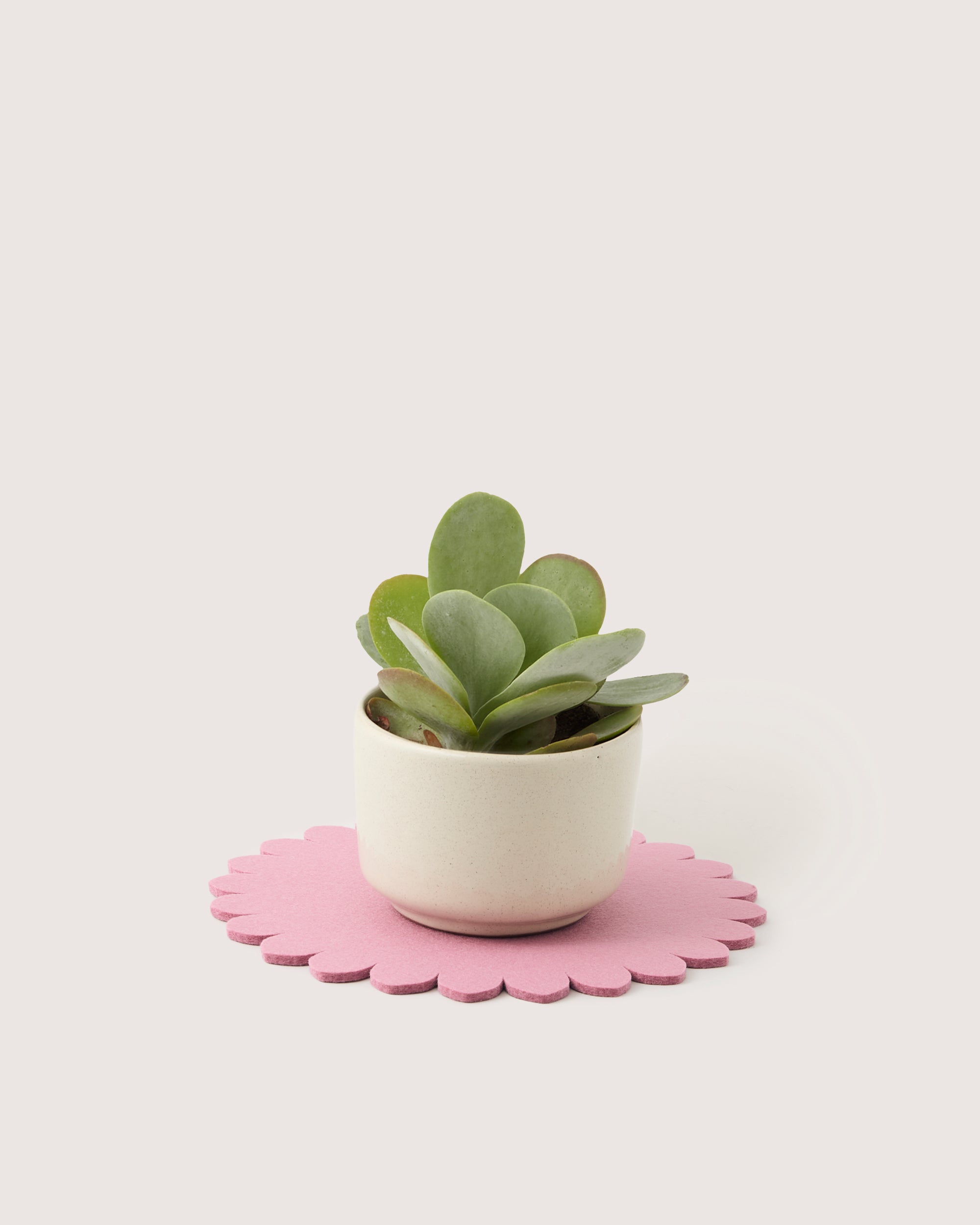 Crest Merino Wool 10" Trivet — Final Sale