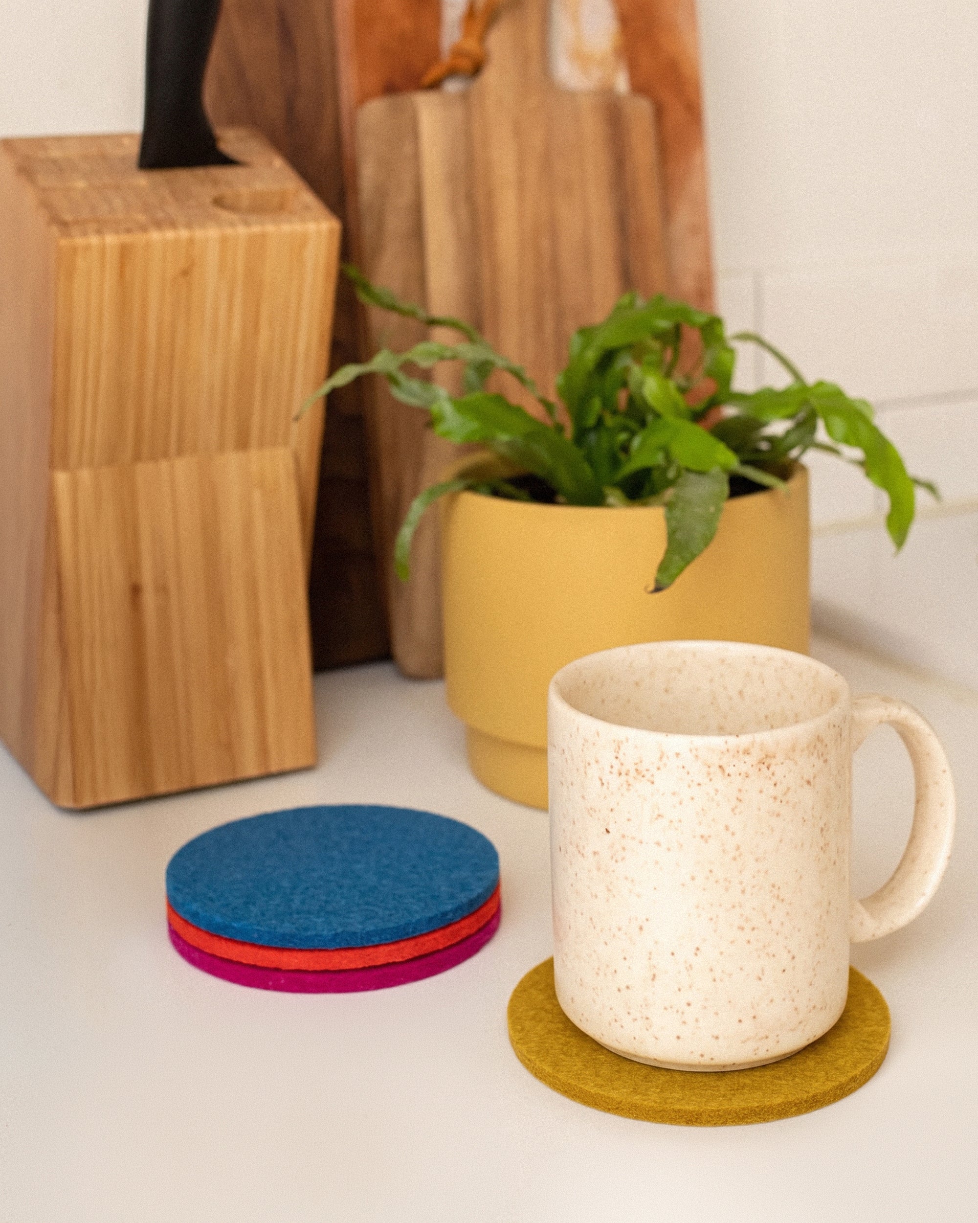 Bierfilzl Merino Wool Round Coaster Multi 4 Pack