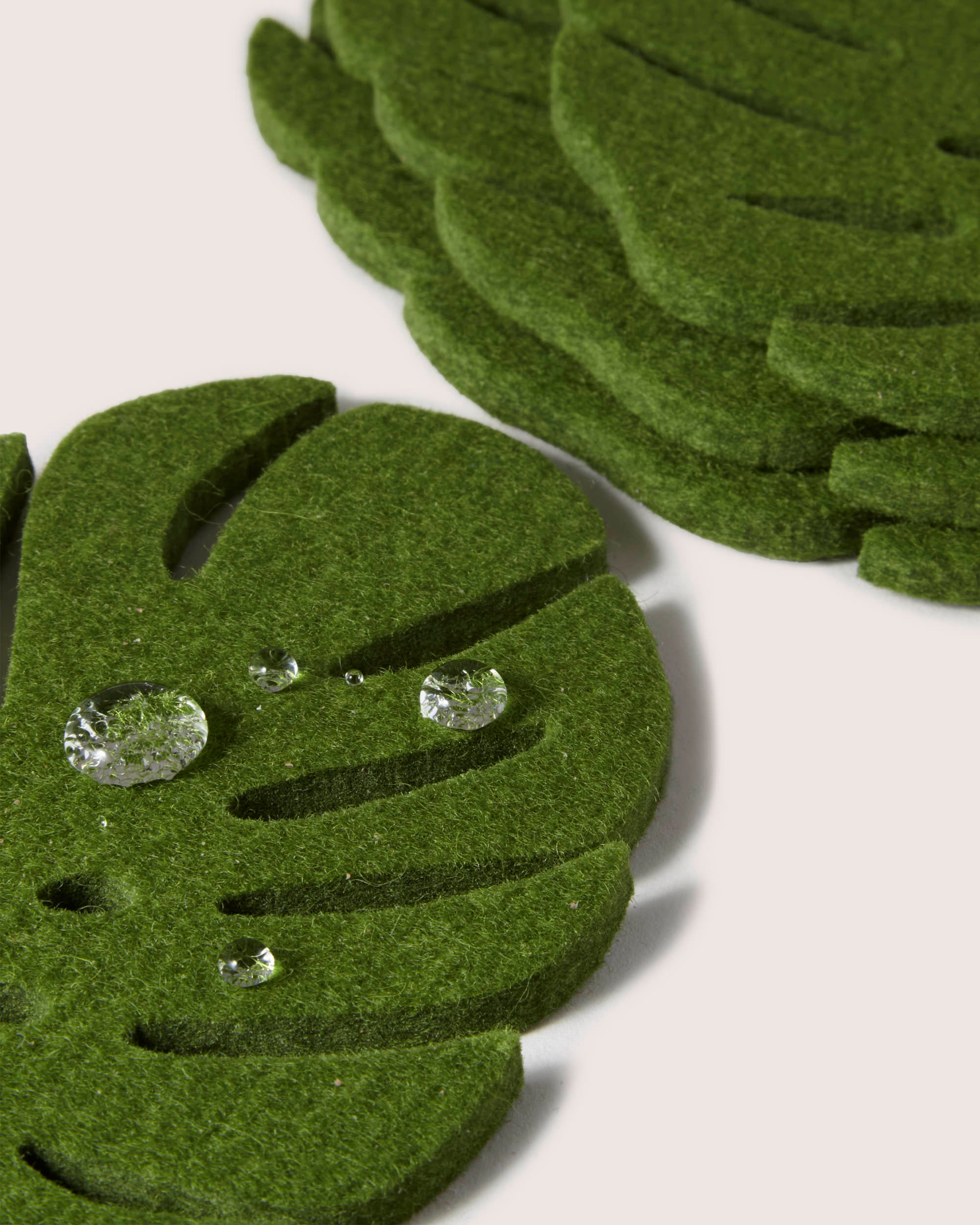 Close-up of graf lantz dark green felt Monstera leaf cutouts made from soft Merino wool. These coaster-like pieces showcase delicate water droplets on the surface, set against a light background.