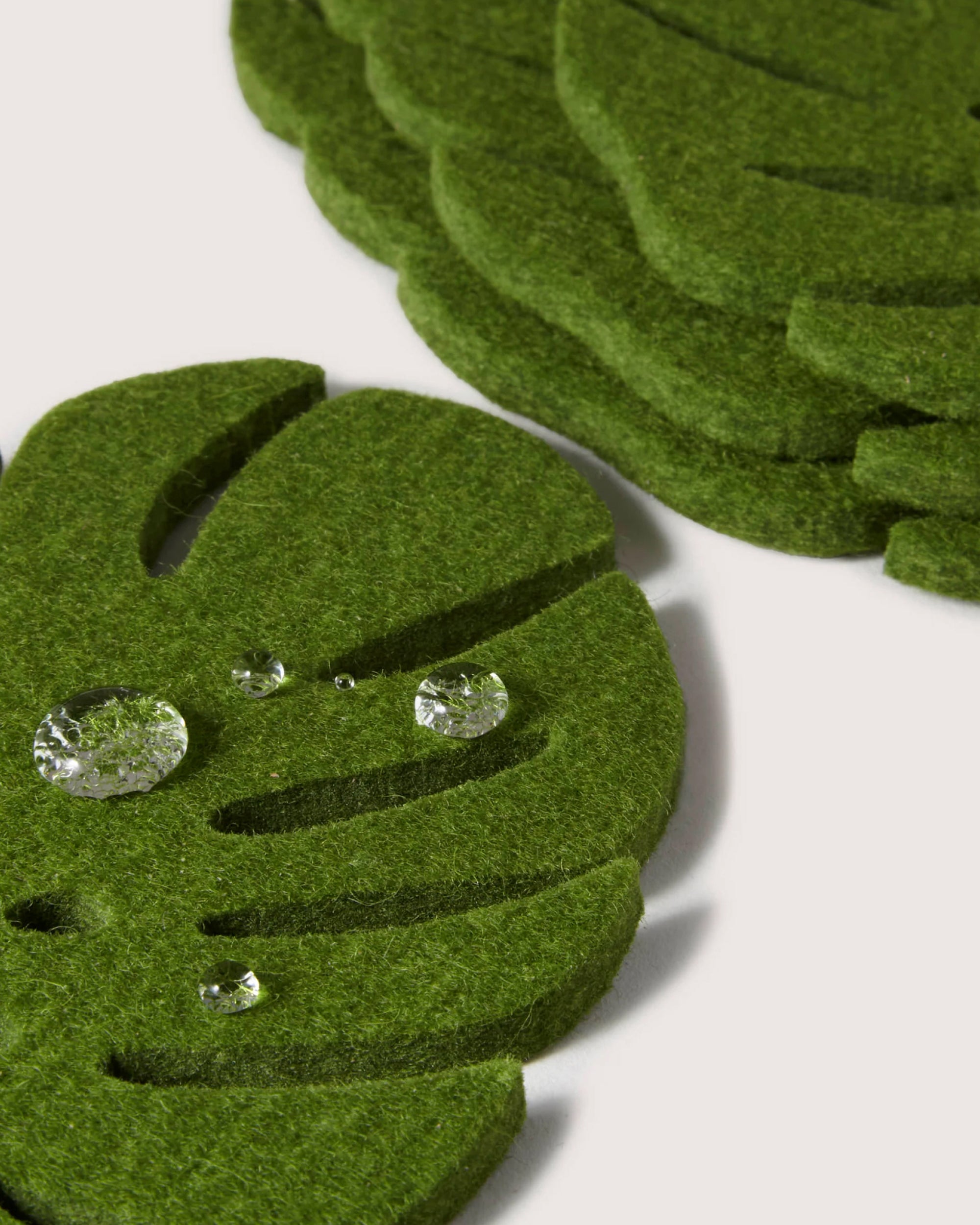Merino Wool Monstera Coaster Solid 4 Pack