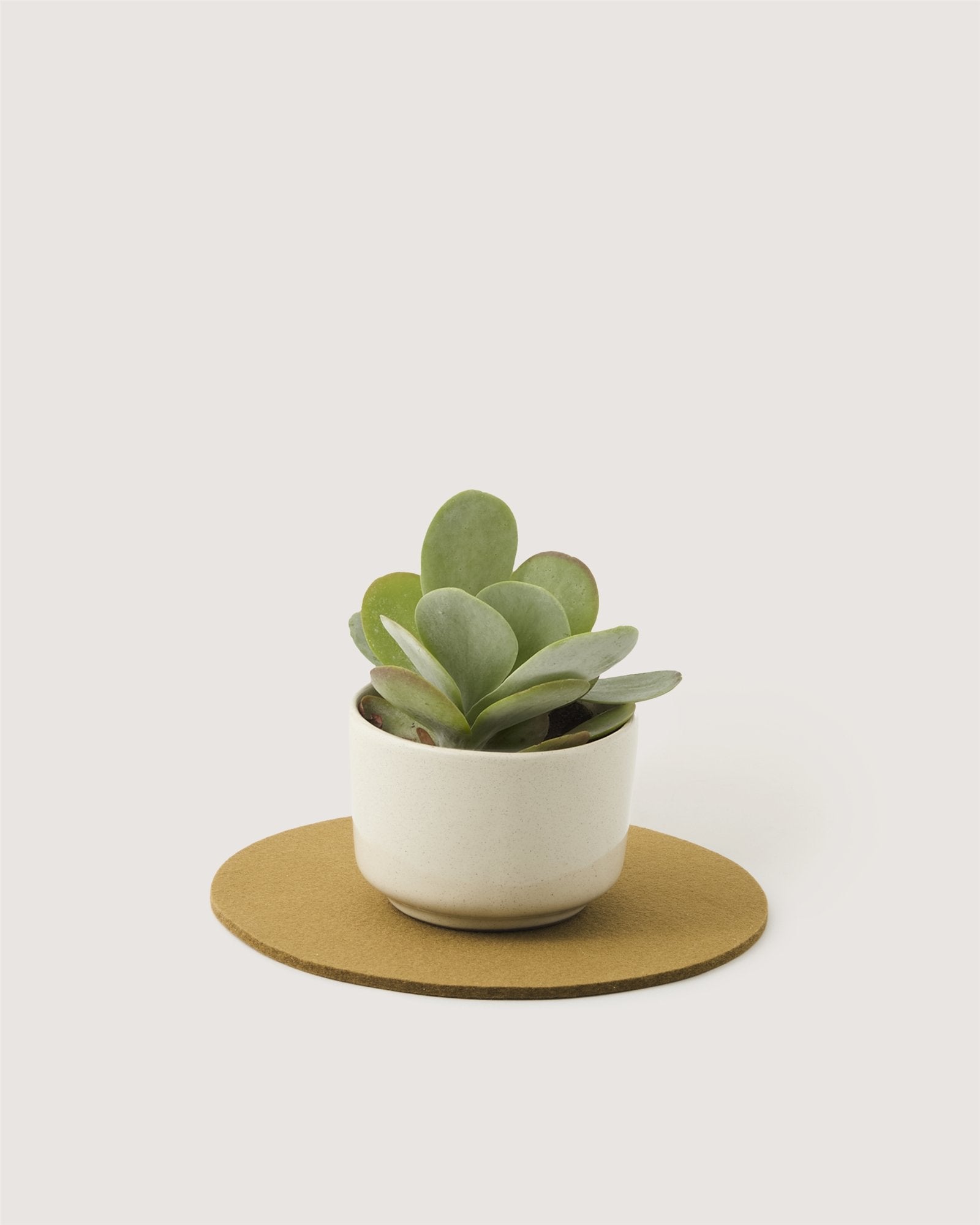 Merino Wool 10" Round Trivet