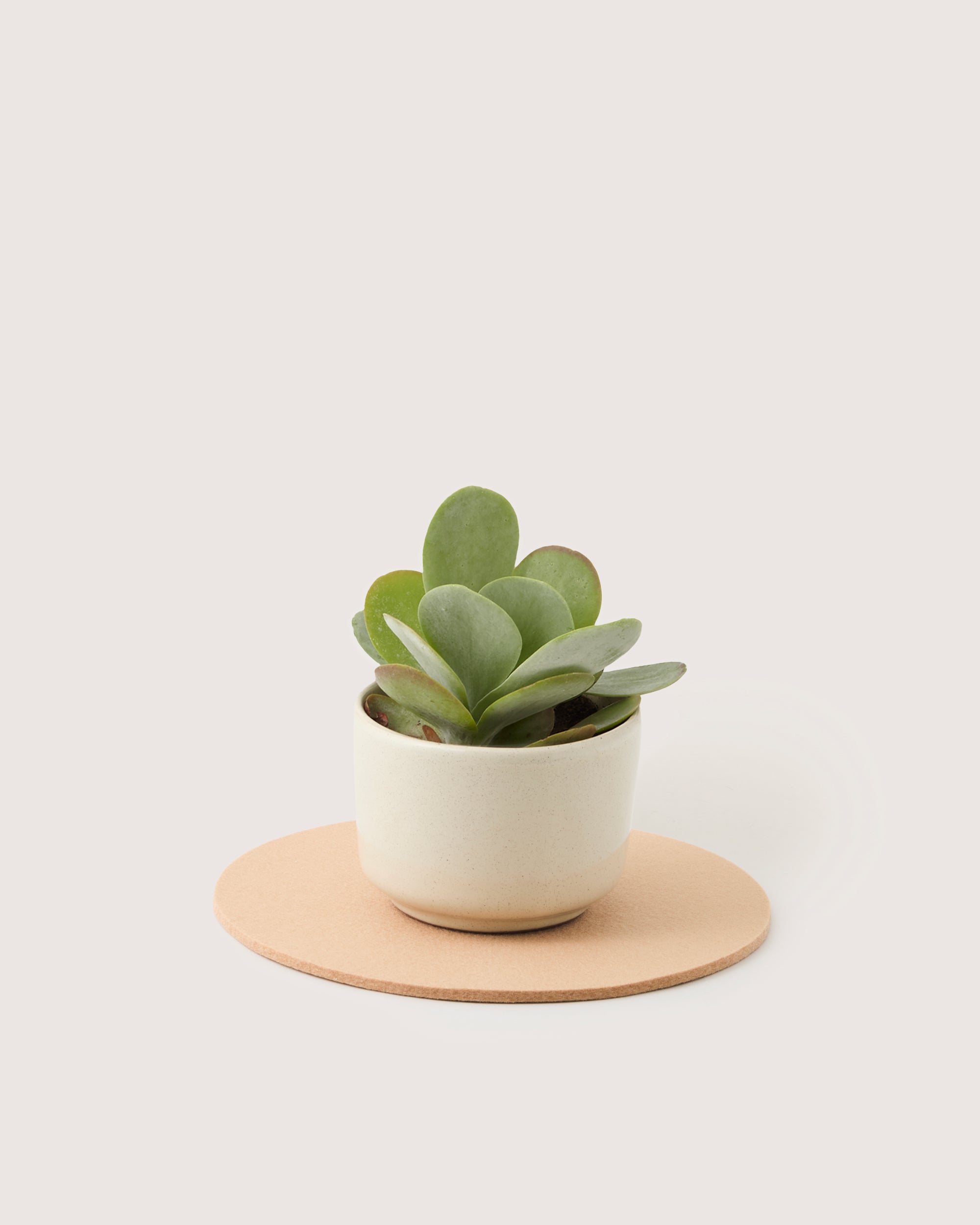 Merino Wool 10" Round Trivet