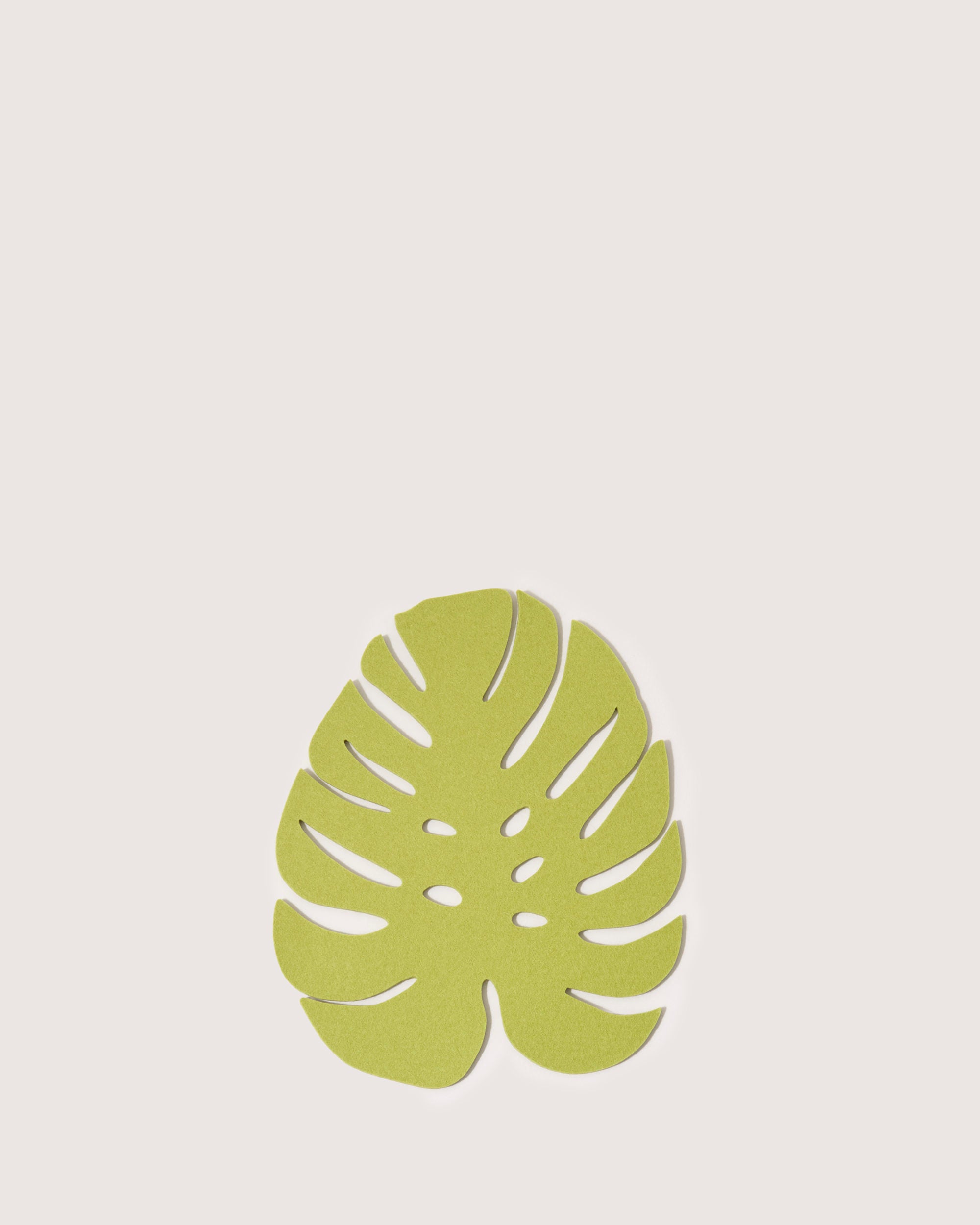 An illustration from graf lantz features a sustainable single green monstera leaf with large cutouts, centered against a plain, light background.