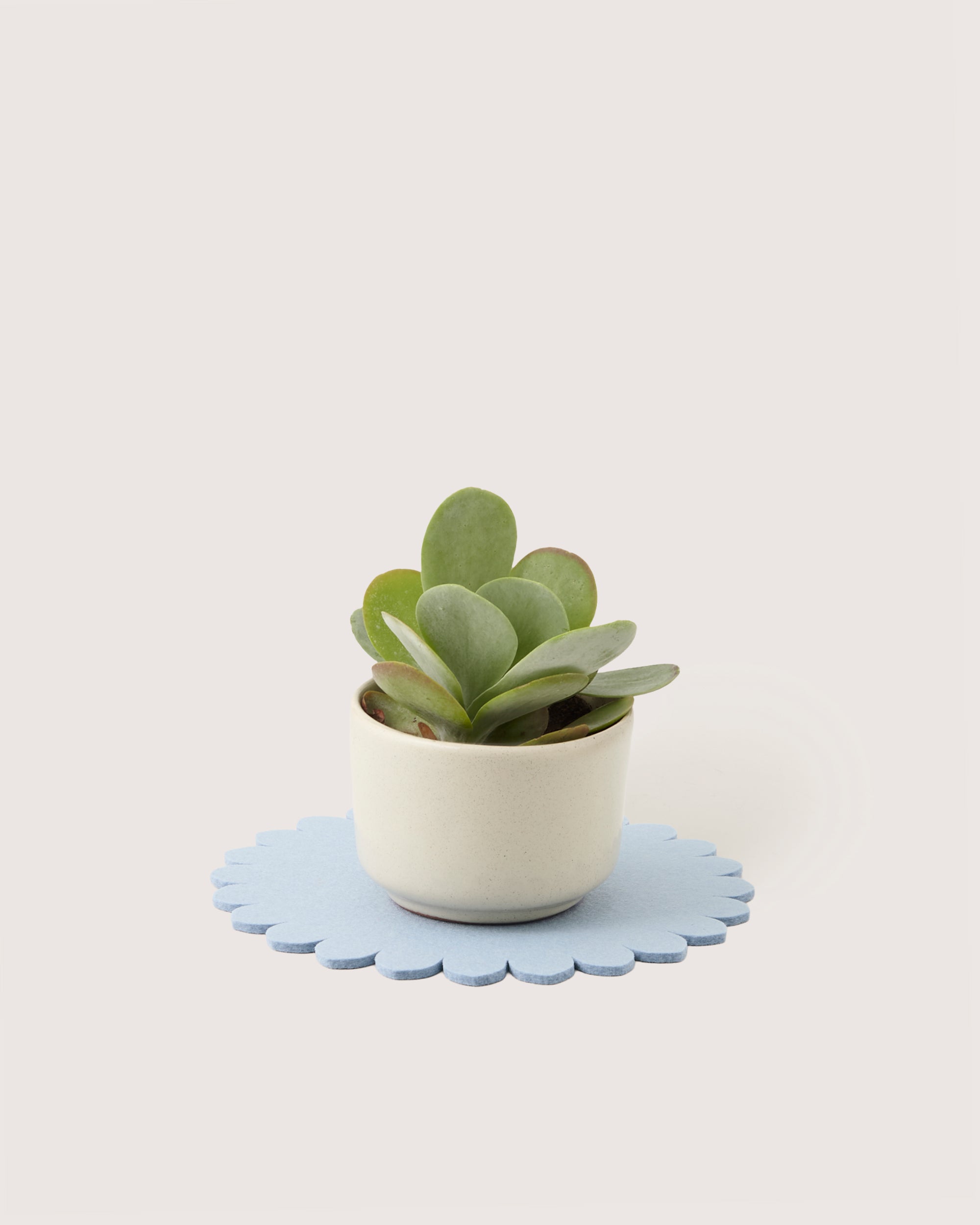 Crest Merino Wool 10" Trivet — Final Sale