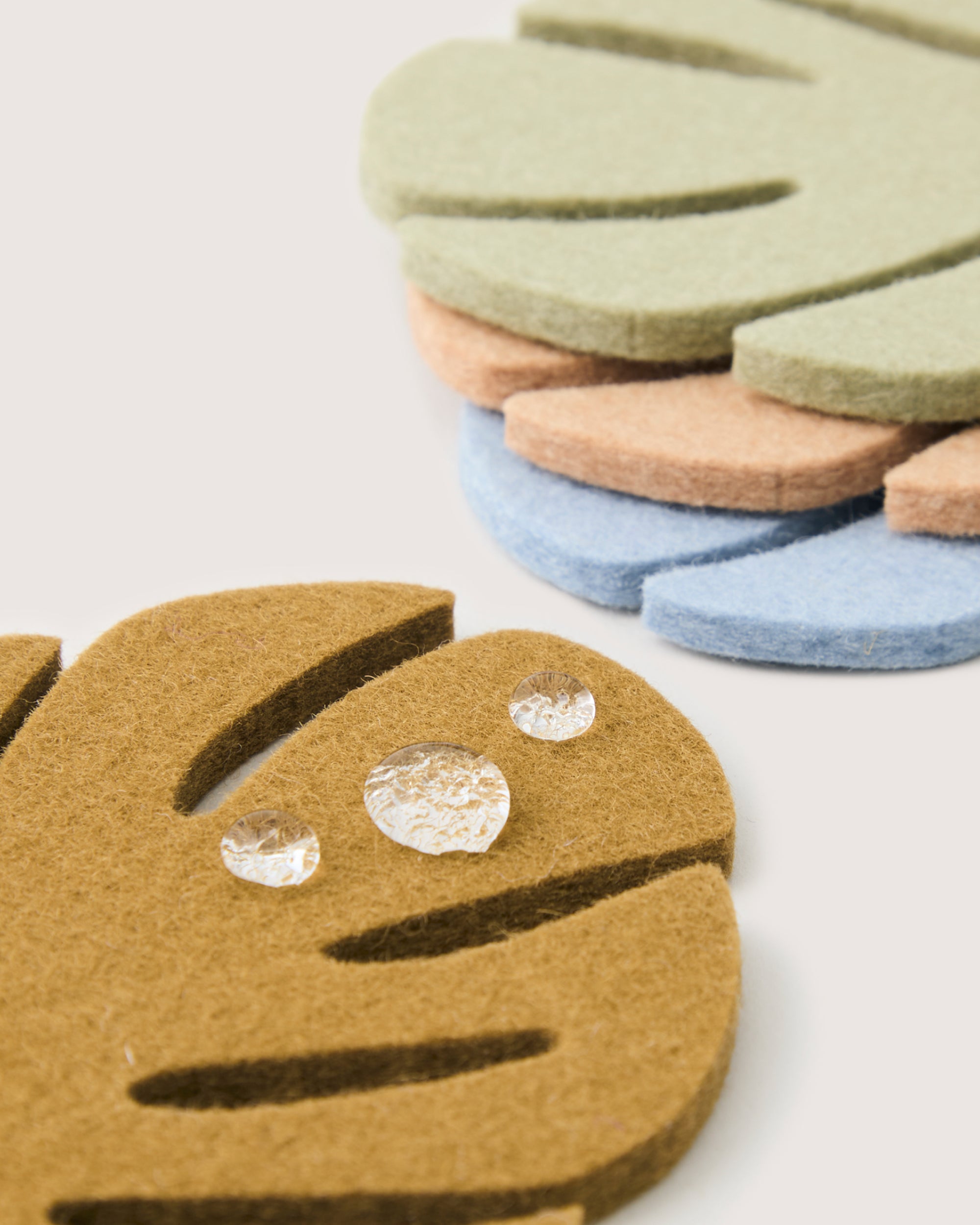 Merino Wool Monstera Coaster Multi 4 Pack — Final Sale