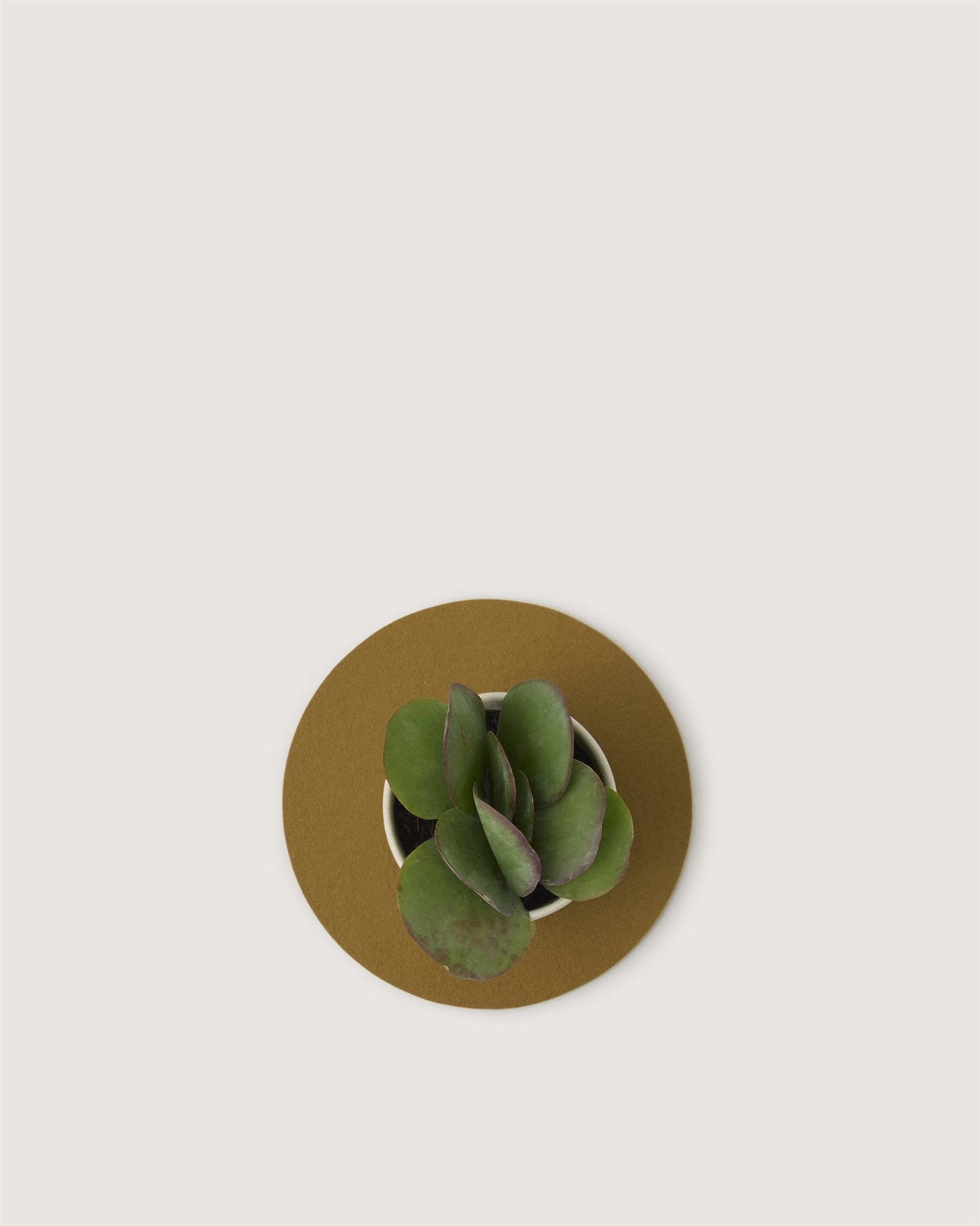 Merino Wool 10" Round Trivet