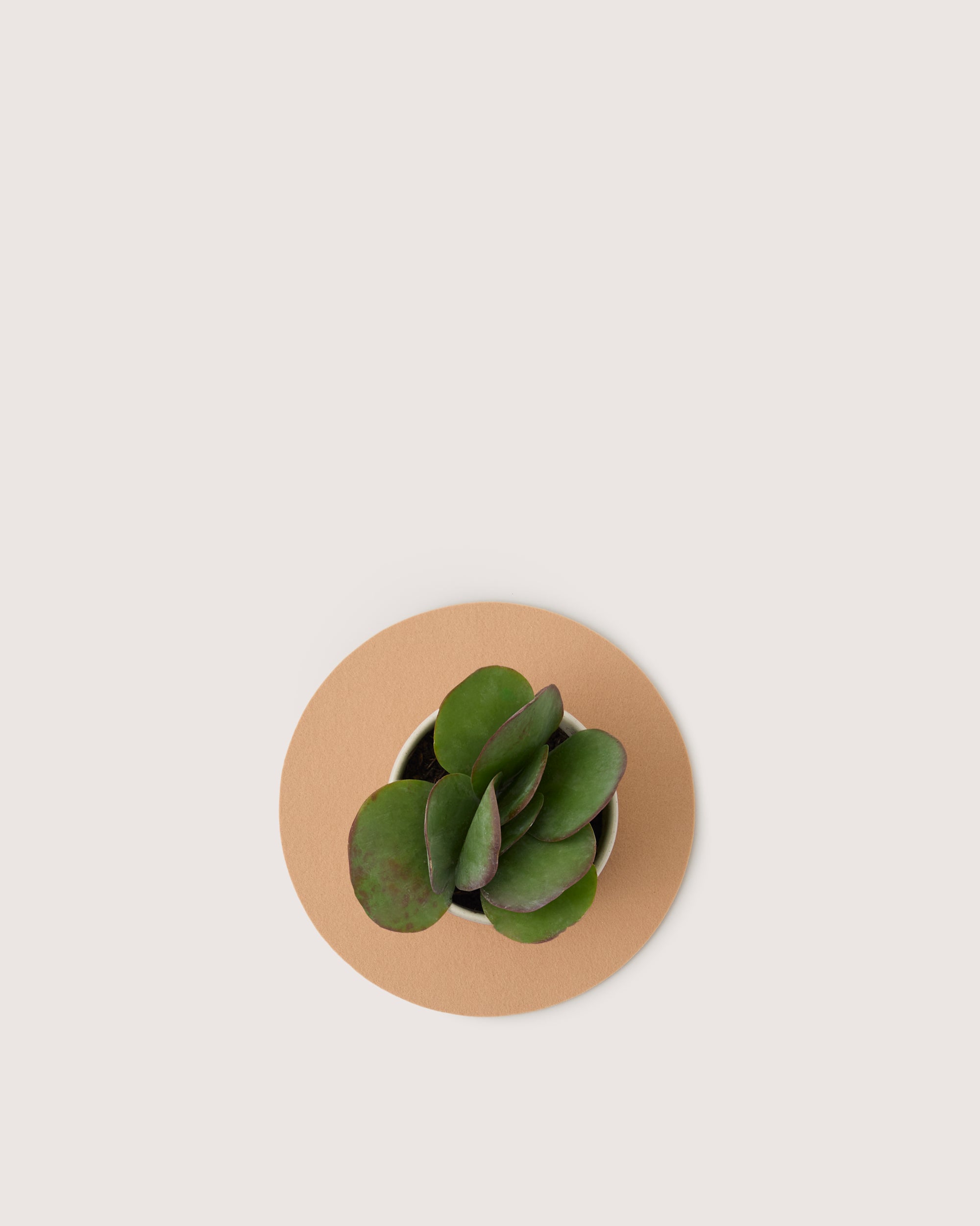 Merino Wool 10" Round Trivet