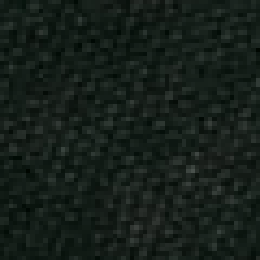 Black Canvas