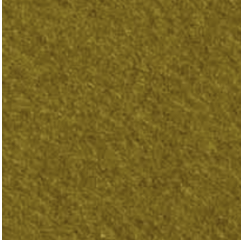 Golden Moss